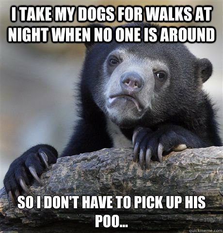 I take my dogs for walks at night when no one is around So I don't have to pick up his poo...  Confession Bear