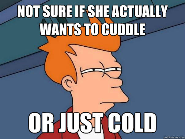 not sure if she actually wants to cuddle Or just cold - not sure if she actually wants to cuddle Or just cold  Futurama Fry