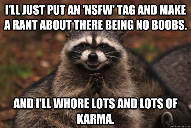 I'LL JUST PUT AN 'NSFW' TAG AND MAKE A RANT ABOUT THERE BEING NO BOOBS. AND I'LL WHORE LOTS AND LOTS OF KARMA. - I'LL JUST PUT AN 'NSFW' TAG AND MAKE A RANT ABOUT THERE BEING NO BOOBS. AND I'LL WHORE LOTS AND LOTS OF KARMA.  Evil Plotting Raccoon