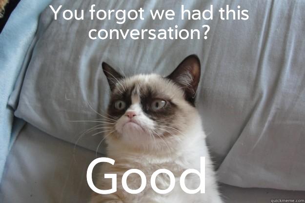 YOU FORGOT WE HAD THIS CONVERSATION? GOOD Grumpy Cat