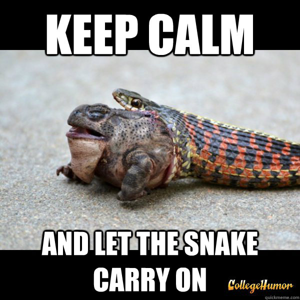 Keep Calm and let the snake carry on  