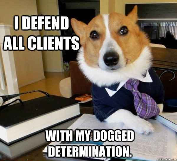 I defend all Clients With my Dogged Determination.  Lawyer Dog