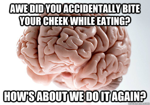 Awe did you accidentally bite your cheek while eating? How's about we do it again?  Scumbag Brain