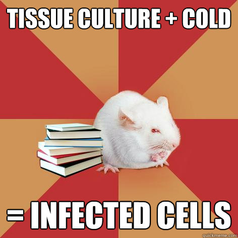 Tissue culture + cold = infected cells  Science Major Mouse