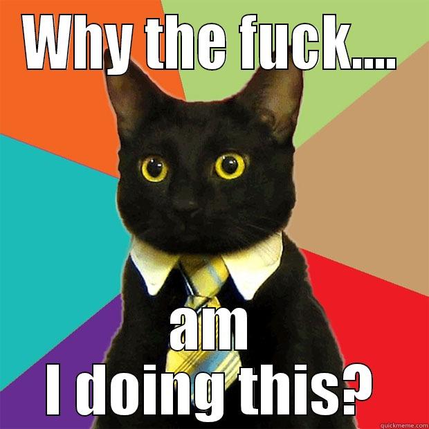 WHY THE FUCK.... AM I DOING THIS? Business Cat