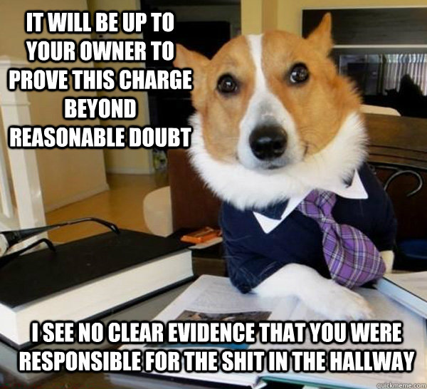 It will be up to your owner to prove this charge beyond reasonable doubt I see no clear evidence that you were responsible for the shit in the hallway  Lawyer Dog