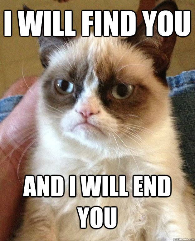 i will find you and i will end you  Grumpy Cat