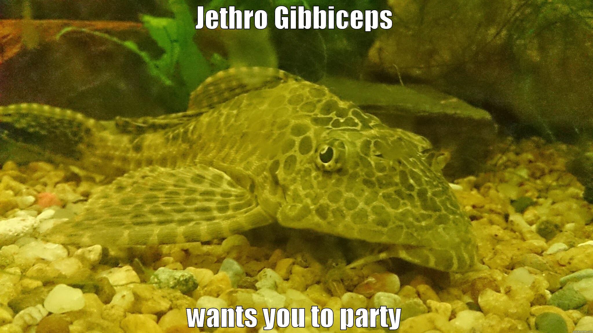 JETHRO GIBBICEPS WANTS YOU TO PARTY Misc