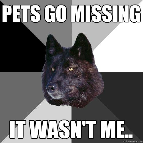 pets go missing it wasn't me..  Sanity Wolf