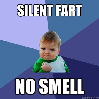 Silent Fart no smell  Success Kid