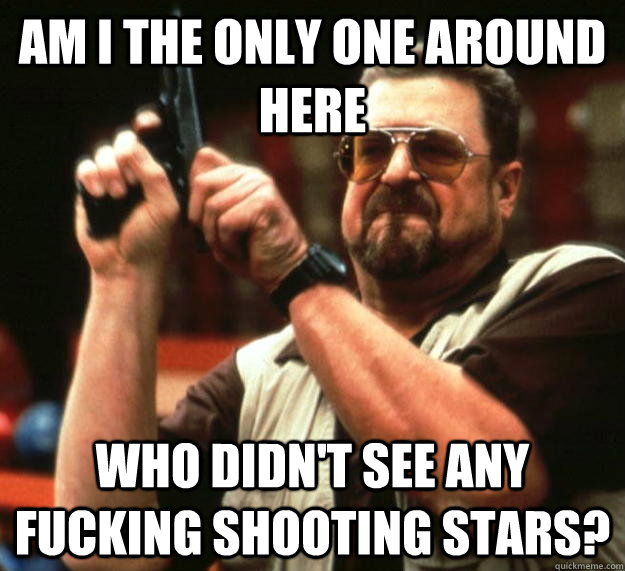 am I the only one around here who didn't see any fucking shooting stars?  Angry Walter