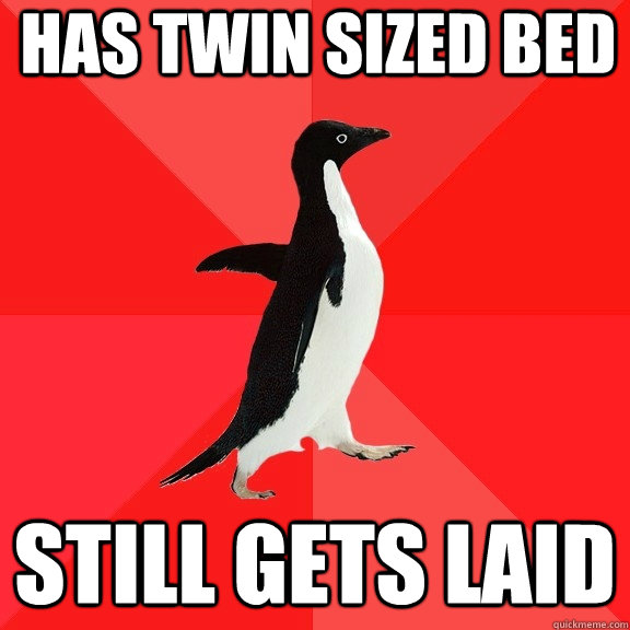 Has twin sized bed still gets laid  Socially Awesome Penguin