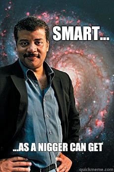 Smart... ...as a nigger can get   Neil deGrasse Tyson