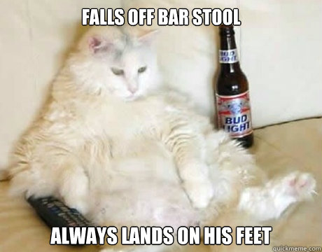 falls off bar stool always lands on his feet  Lazy cat