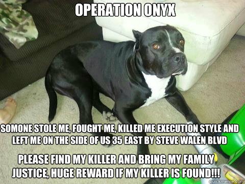 OPERATION ONYX SOMONE STOLE ME, FOUGHT ME, KILLED ME EXECUTION STYLE AND LEFT ME ON THE SIDE OF US 35 EAST BY STEVE WALEN BLVD PLEASE FIND MY KILLER AND BRING MY FAMILY JUSTICE, HUGE REWARD IF MY KILLER IS FOUND!!! :*( - OPERATION ONYX SOMONE STOLE ME, FOUGHT ME, KILLED ME EXECUTION STYLE AND LEFT ME ON THE SIDE OF US 35 EAST BY STEVE WALEN BLVD PLEASE FIND MY KILLER AND BRING MY FAMILY JUSTICE, HUGE REWARD IF MY KILLER IS FOUND!!! :*(  OPERATION ONYX