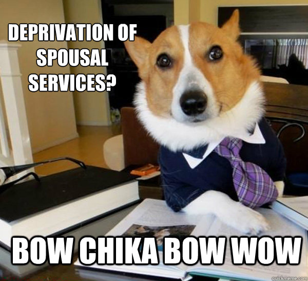 Deprivation of Spousal Services? Bow chika bow wow  Lawyer Dog