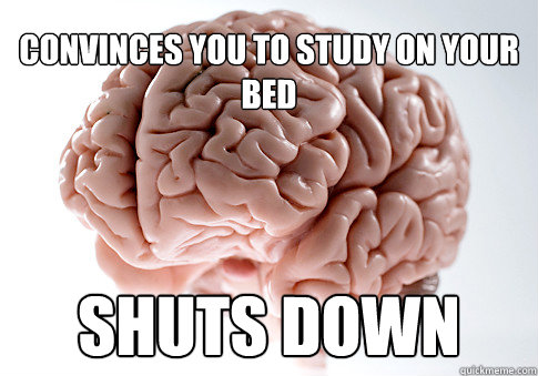 Convinces you to study on your bed Shuts down  Scumbag Brain