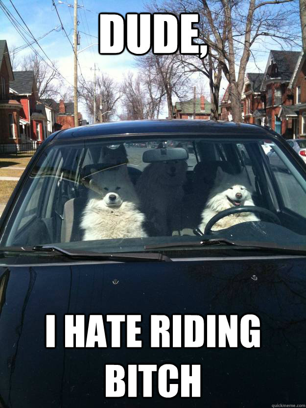 Dude, i hate riding bitch - Dude, i hate riding bitch  Joy Ride