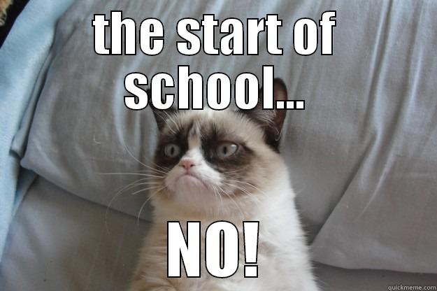 school sucks - THE START OF SCHOOL... NO! Grumpy Cat