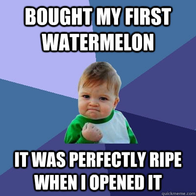 bought my first watermelon it was perfectly ripe when I opened it - bought my first watermelon it was perfectly ripe when I opened it  Success Kid