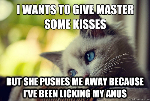 i wants to give master some kisses but she pushes me away because i've been licking my anus  First World Problems Cat