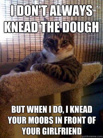 I don't always knead the dough but when I do, I knead your moobs in front of your girlfriend  The Most Interesting Cat in the World