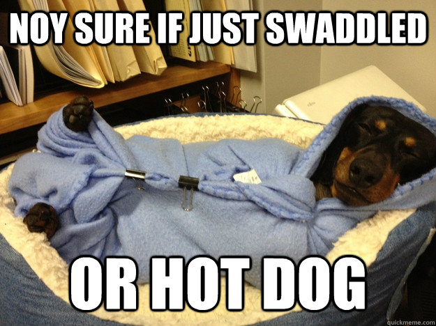 Noy sure if just swaddled or hot dog  