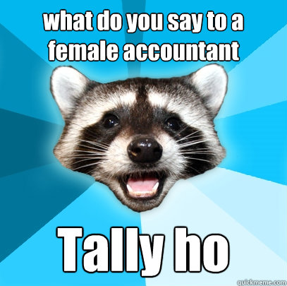 what do you say to a female accountant Tally ho  Lame Pun Coon