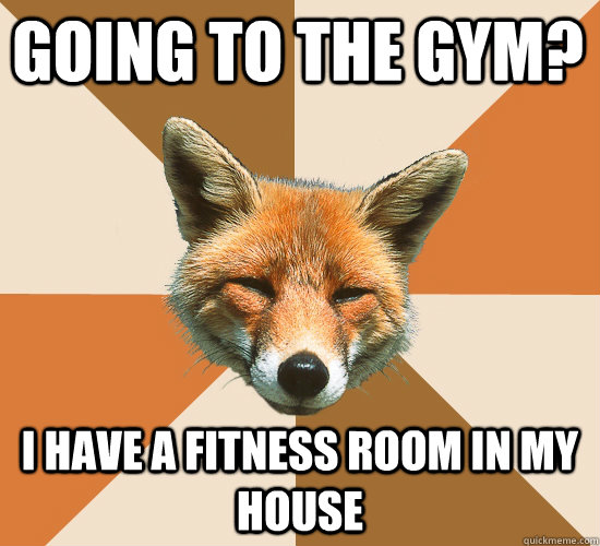 Going to the gym? I have a fitness room in my house  Condescending Fox