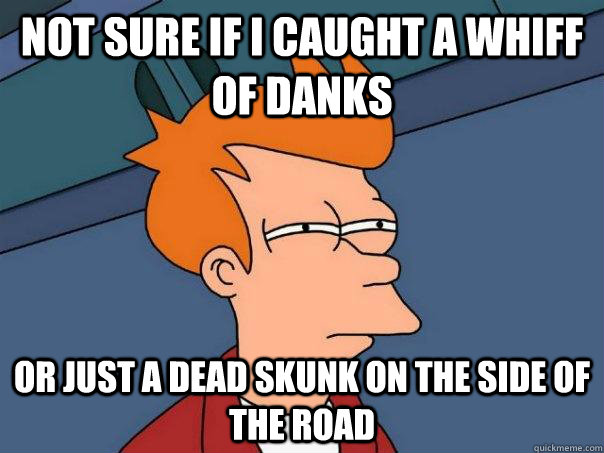 Not sure if I caught a whiff of danks or just a dead skunk on the side of the road - Not sure if I caught a whiff of danks or just a dead skunk on the side of the road  Futurama Fry