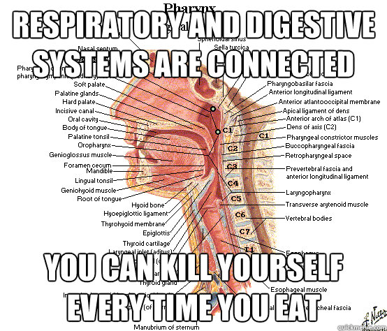 Respiratory and digestive systems are connected You can kill yourself every time you eat - Respiratory and digestive systems are connected You can kill yourself every time you eat  Unintelligent Design
