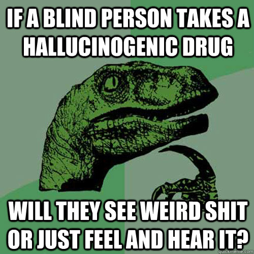 If a blind person takes a hallucinogenic drug Will they see weird shit or just feel and hear it?  Philosoraptor