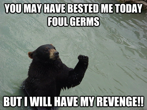 You may have bested me today foul germs  But I will have my revenge!!  Vengeful Bear