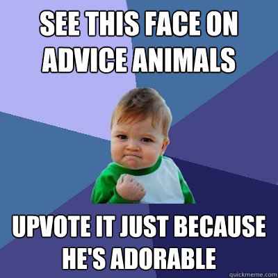 see this face on advice animals upvote it just because he's adorable - see this face on advice animals upvote it just because he's adorable  Success Kid