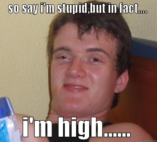 SO SAY I'M STUPID,BUT IN FACT.... I'M HIGH...... 10 Guy