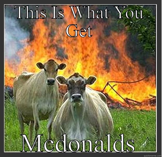 THIS IS WHAT YOU GET MCDONALDS Evil cows