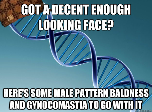 Got a decent enough looking face? Here's some male pattern baldness and gynocomastia to go with it  - Got a decent enough looking face? Here's some male pattern baldness and gynocomastia to go with it   Scumbag Genetics