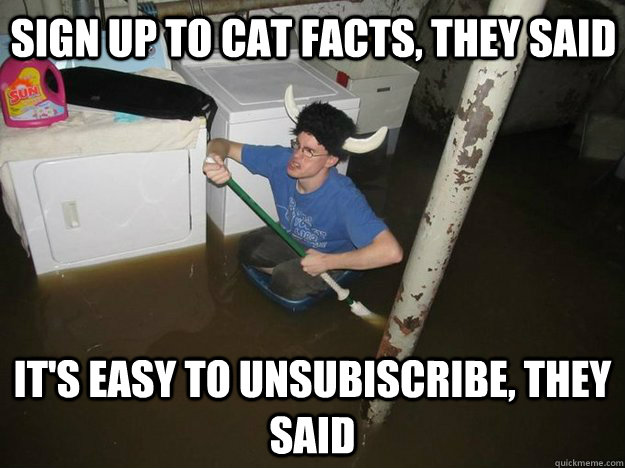 sign up to cat facts, they said It's easy to unsubiscribe, they said  Do the laundry they said