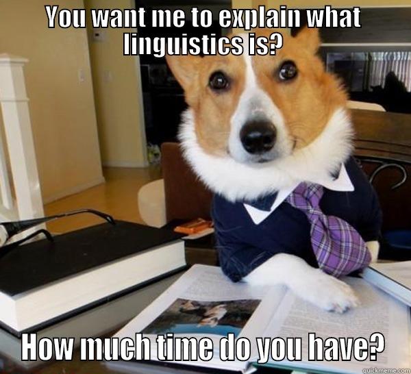 YOU WANT ME TO EXPLAIN WHAT LINGUISTICS IS? HOW MUCH TIME DO YOU HAVE? Lawyer Dog