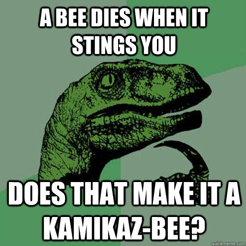 a bee dies when it stings you does that make it a kamikaz-bee? - a bee dies when it stings you does that make it a kamikaz-bee?  Philosoraptor