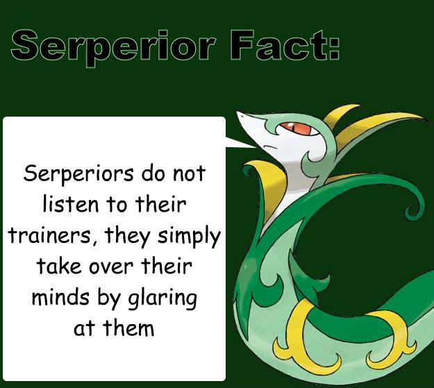 Serperiors do not listen to their trainers, they simply take over their minds by glaring 
at them - Serperiors do not listen to their trainers, they simply take over their minds by glaring 
at them  Serperior Facts