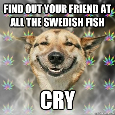 Find out your friend at all the Swedish fish cry  Stoner Dog