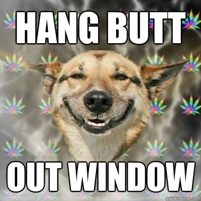 Hang butt out window  Stoner Dog