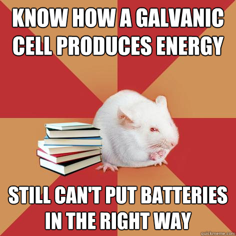 Know how a galvanic cell produces energy still can't put batteries in the right way  Science Major Mouse