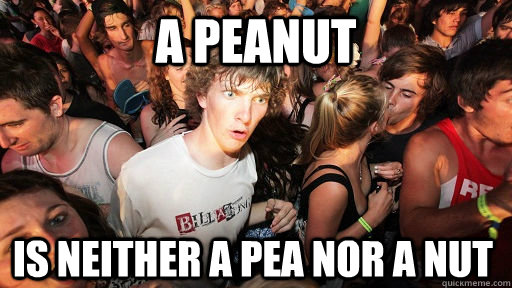 A peanut is neither a pea nor a nut  Sudden Clarity Clarence