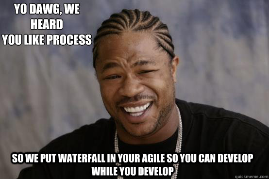 Yo Dawg, we heard 
you like process So we put Waterfall in your Agile so you can develop while you develop  YO DAWG