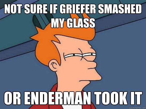 Not sure if griefer smashed my glass Or enderman took it  Futurama Fry