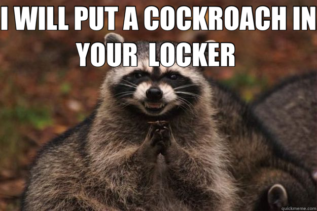 I WILL PUT A COCKROACH IN YOUR  LOCKER    Evil Plotting Raccoon