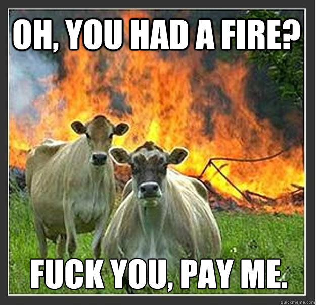 Oh, you had a fire? Fuck you, pay me.   Evil cows