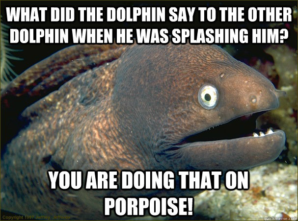 What did the dolphin say to the other dolphin when he was splashing him? You are doing that on porpoise!   Bad Joke Eel